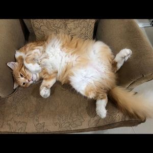 Meet your Posher, Tracy